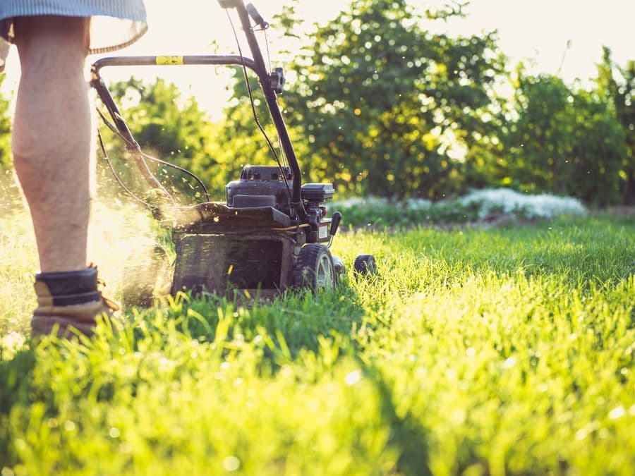 A landscaper mowing a lawn on a sunny day — local home-service work